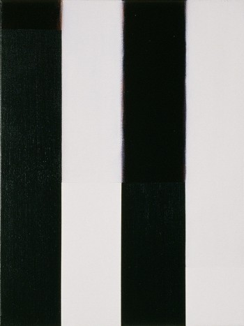 Etude: Edges #11 | 2006
Acrylic on canvas | 31 x 40.5 cm